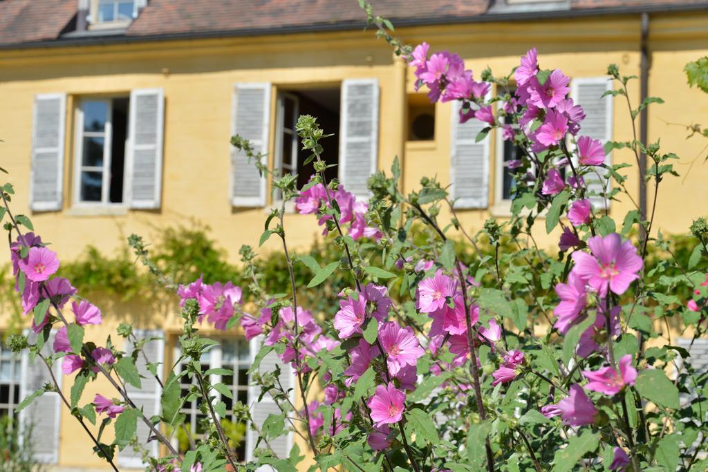 パリ Charmilles Des Cordeliers Bed & Breakfast エクステリア 写真