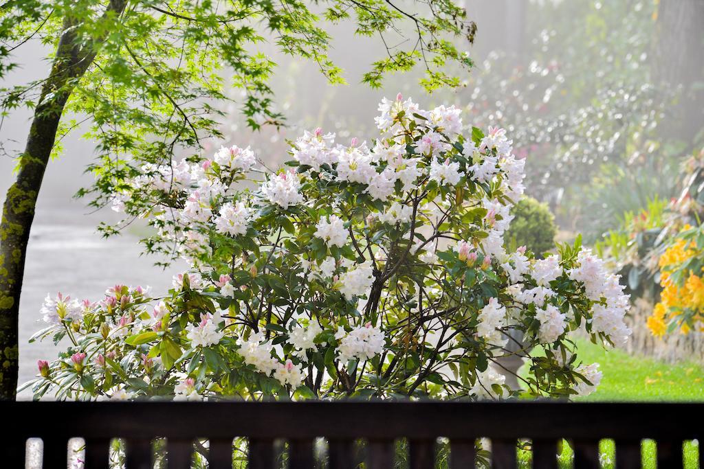 パリ Charmilles Des Cordeliers Bed & Breakfast エクステリア 写真