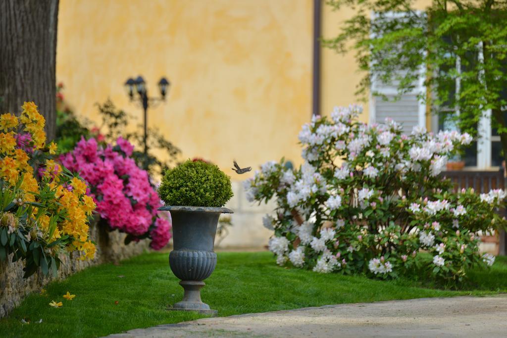 パリ Charmilles Des Cordeliers Bed & Breakfast エクステリア 写真